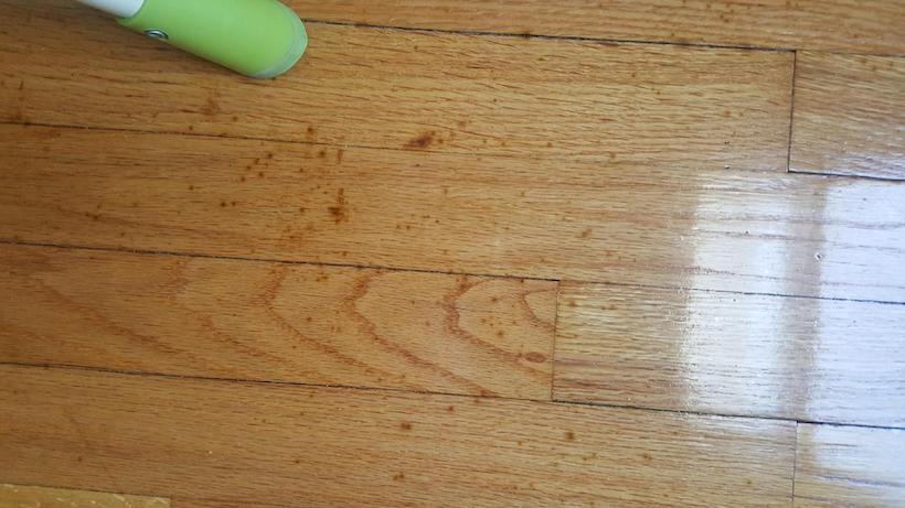 Spreading Black Spots Wood Floor, What Causes Yellow Spots On Vinyl Flooring