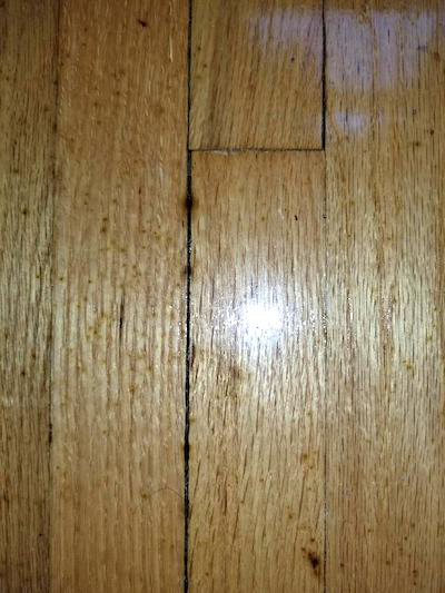 Wood Floor Mystery 1 The Spreading Black Spots Wood Floor