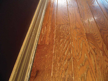 Clear Up Confusion About Wood Floor Maintenance Wood Floor